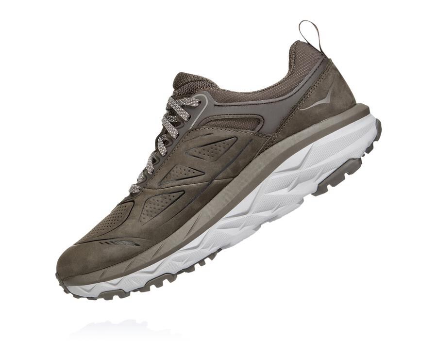 Hoka One One Trail Schoenen Dames - Challenger Laag Gore-Tex - Bruin - QX2678301